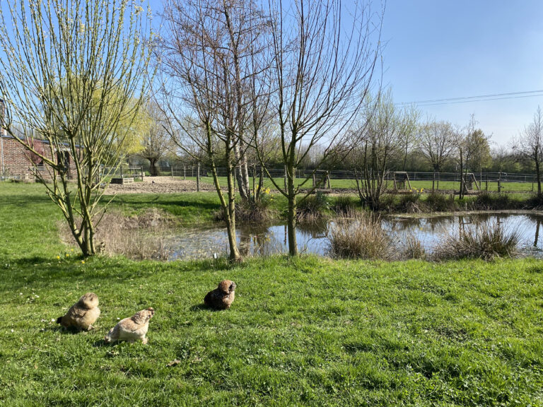 lieu de ressourcement